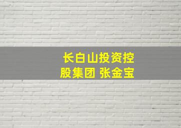 长白山投资控股集团 张金宝